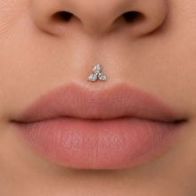 Load image into Gallery viewer, *Customize* Titanium Staggered Teardrop Nose Ring/ Labret