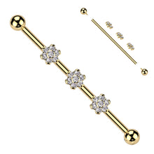 Load image into Gallery viewer, Titanium Flower Bling Industrial