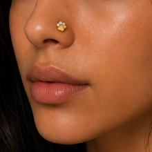 Load image into Gallery viewer, Titanium Paw Nose Ring/ Labret