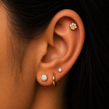 Load image into Gallery viewer, Titanium Paw Nose Ring/ Labret
