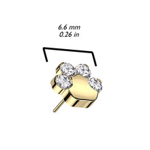 Load image into Gallery viewer, Titanium Paw Nose Ring/ Labret
