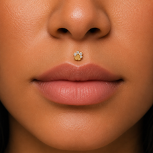 Load image into Gallery viewer, Titanium Paw Nose Ring/ Labret
