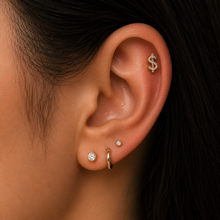 Load image into Gallery viewer, Titanium Bling Money Sign Nose Ring/ Labret

