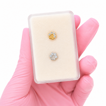 Load image into Gallery viewer, Titanium Paw Nose Ring/ Labret
