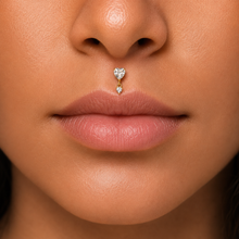 Load image into Gallery viewer, Titanium Heart Dangle Nose Ring/ Labret

