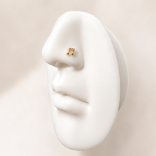 Load image into Gallery viewer, Titanium Music Note Nose Ring/ Labret
