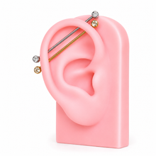 Load image into Gallery viewer, Titanium Gem Industrial Barbell
