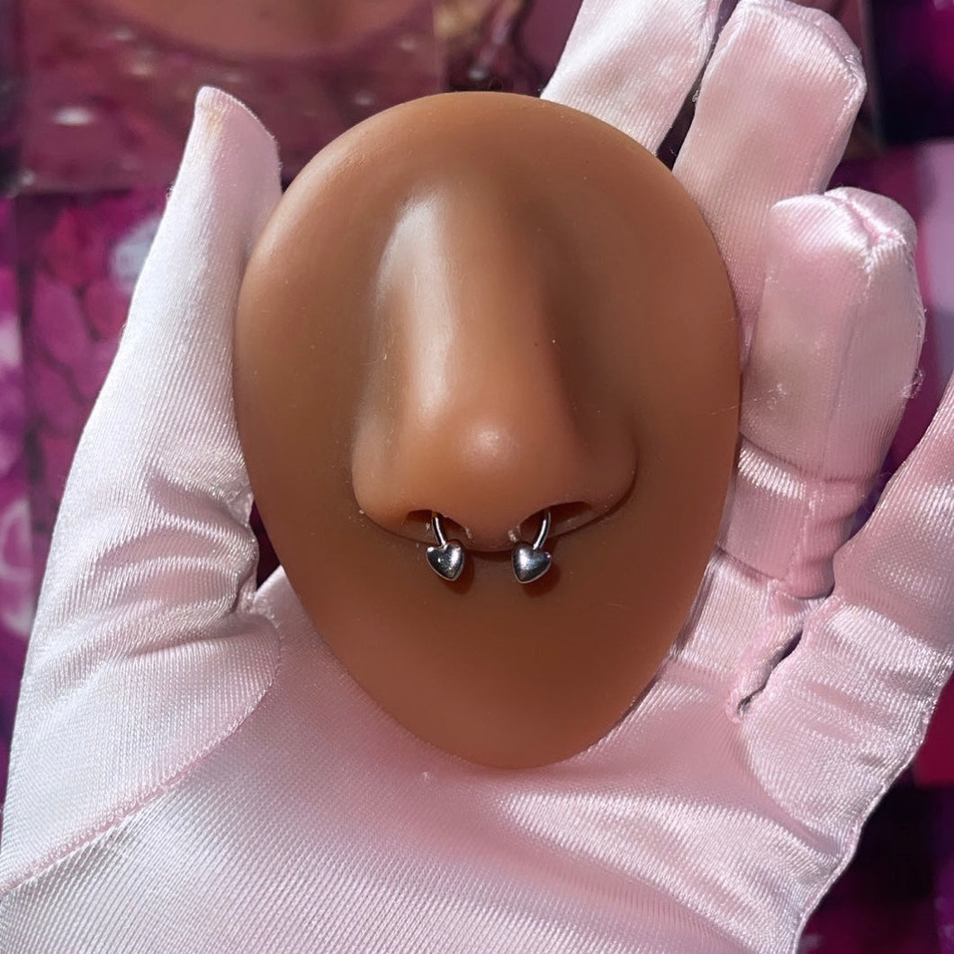 Basic Heart Septum